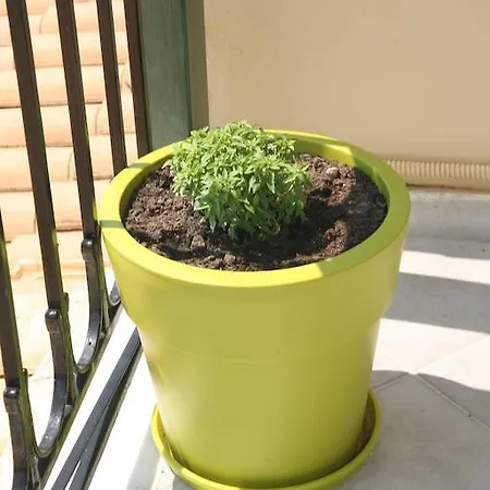 Lejlighedshotel Marathes