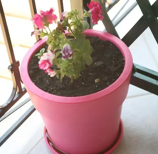 شقة فندقية Marathes