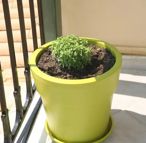 شقة فندقية Marathes