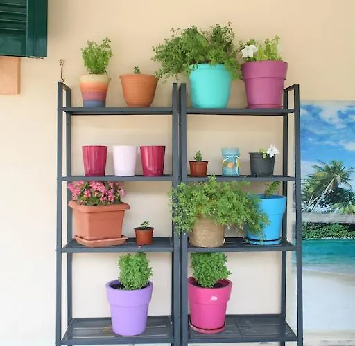 Marathes Áyios Nikítas