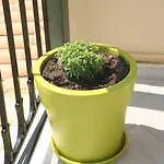 شقة فندقية Marathes